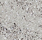 A wooden floor with a natural finish. AI generated content